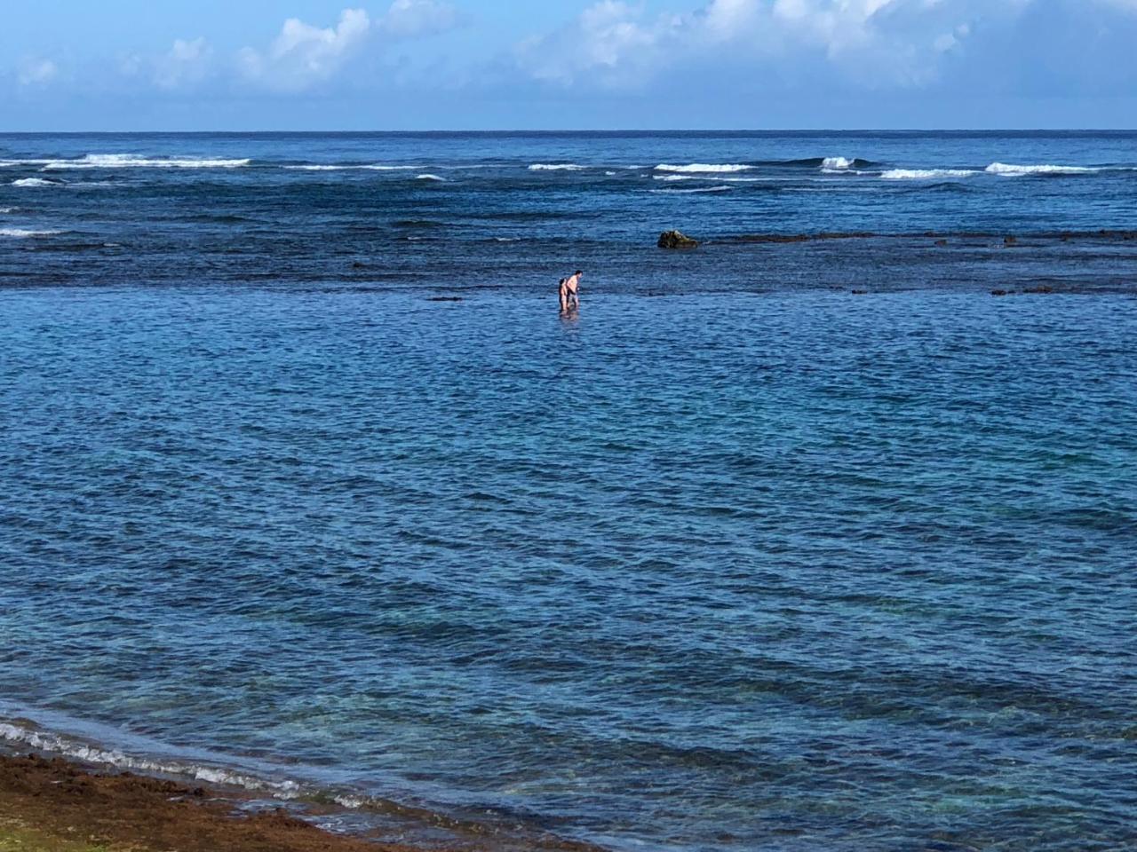 Mokule'Ia Beach Houses At Owen'S Retreat Waialua Ngoại thất bức ảnh